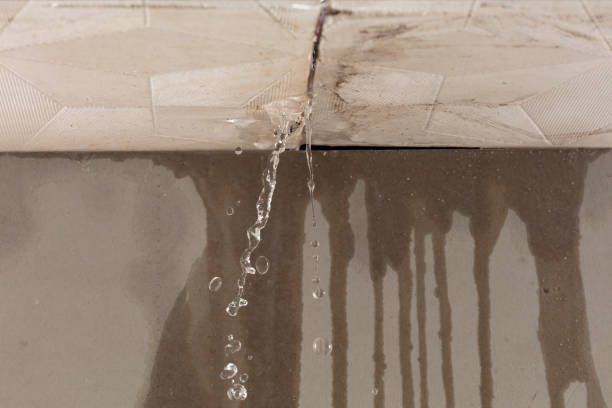 Professional Emergency Water Removal technician working in Van Dyne, WI